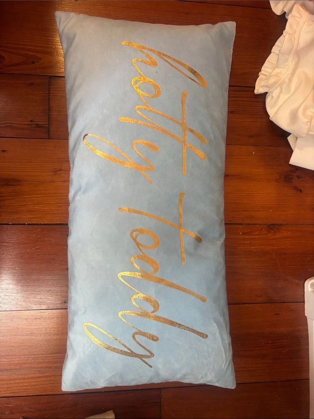 Decorative Light Blue Velvet Pillow with Gold Script
